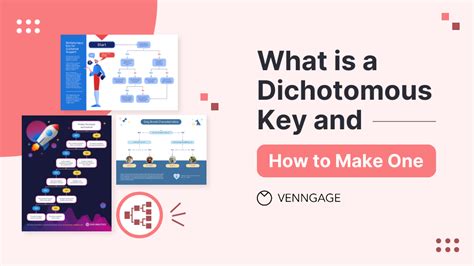 What Is A Dichotomous Key And How To Make One Venngage