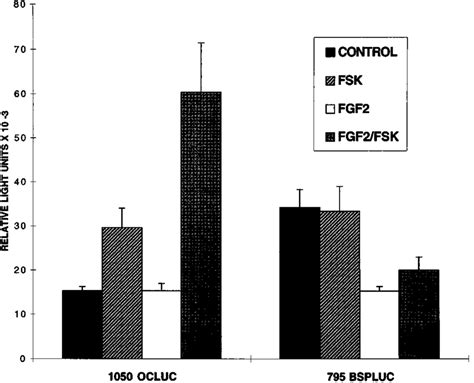 Fgf And Fsk Synergistically Up Regulate Oc Promoter Activity Mc T E