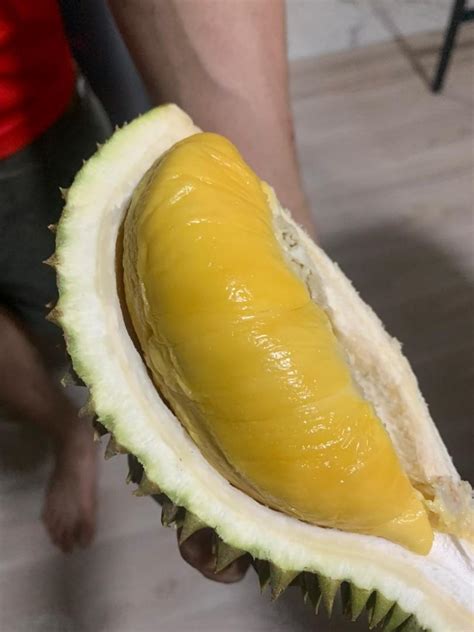 Durian Mao Shan Wang Old Tree Msw Grade A Food Drinks Fresh