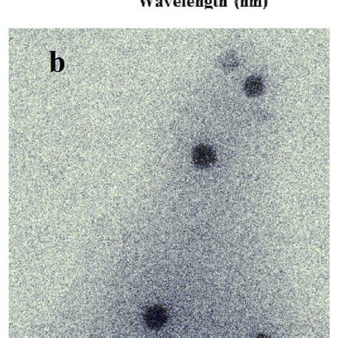 The Uv Spectrum Of Iron Oxide Nanoparticles A Tem Image Of The Iron