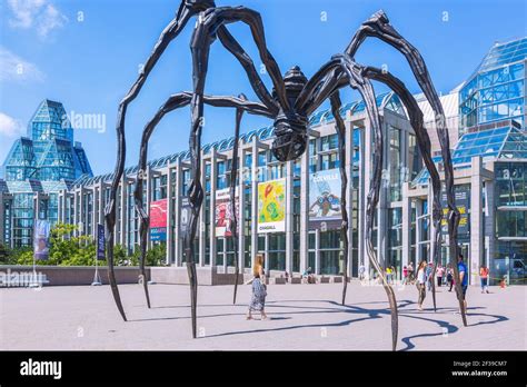 Geography Travel Canada Ottawa National Gallery Of Canada Spider