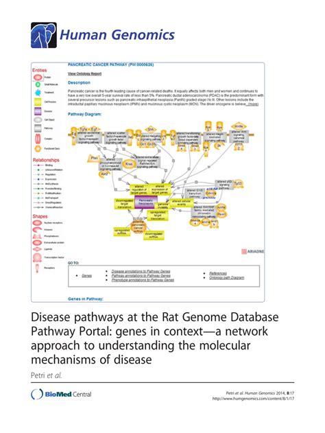 Pdf Disease Pathways At The Rat Genome Database Pathway Portal Genes