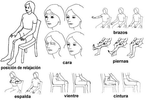 Reducir La Ansiedad Y El Estr S Con La Relajaci N Muscular Progresiva