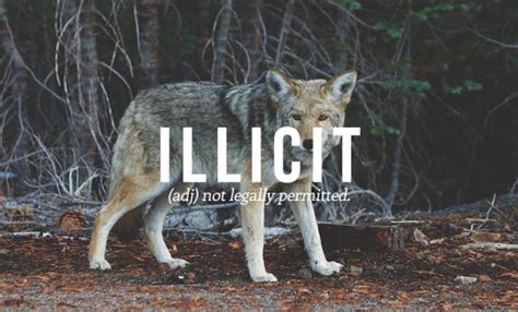 The Most Beautiful Sounding Words In The English Language 32 Pics