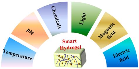 Polymers Free Full Text Recent Advances In Smart Hydrogels Prepared