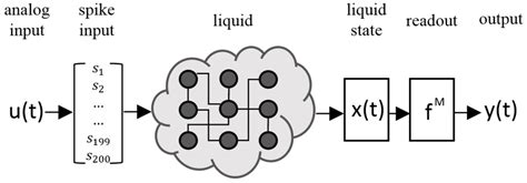 Diagram Showing A Model Of Liquid State Machine An Input Is Translated