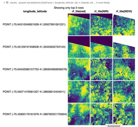 Processing Geospatial Data At Scale With Databricks