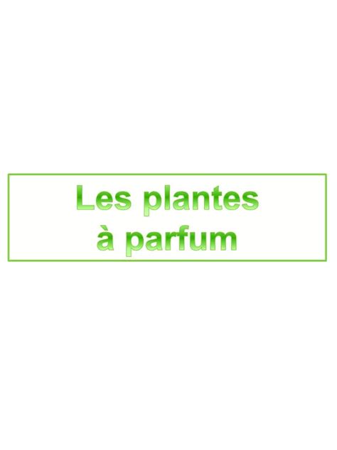 PPT Les plantes à parfum PowerPoint Presentation free download ID