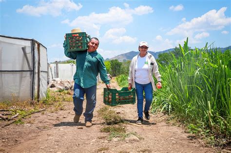 Agromercados permiten la dinamización de la economía familiar en El