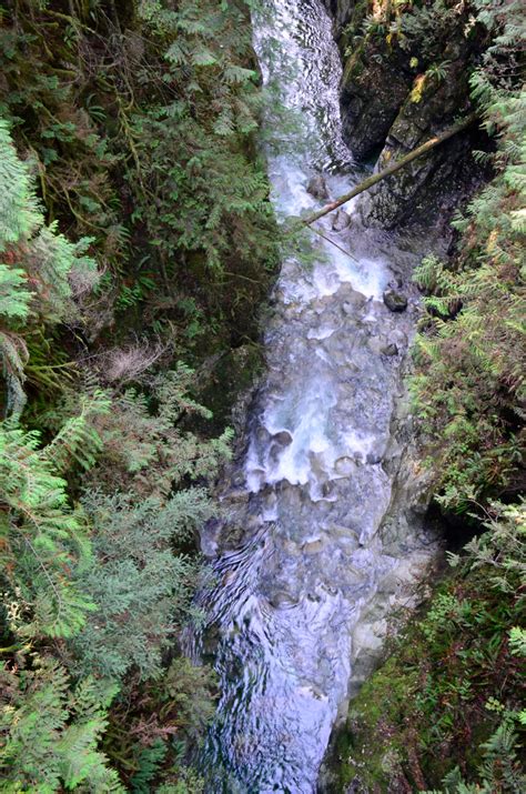 walk  remember hiking vancouvers breathtaking lynn canyon