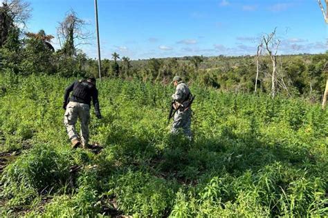 Operação Nova Aliança ganha versão ampliada no Paraguai