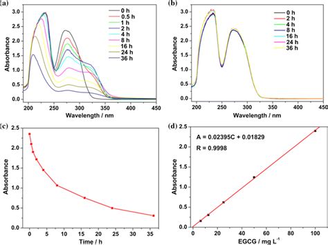 Uvvis Absorption Spectra Of Egcg In The Presence A And Absence B