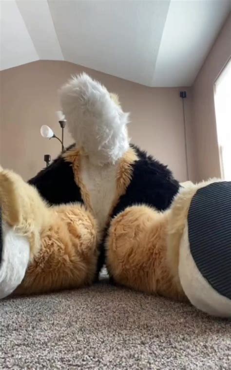 Fursuit Ass ThisVid
