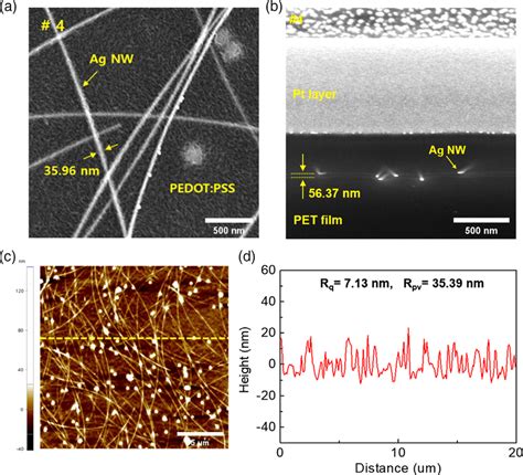 A B Planar And Cross Sectional FIB SEM Images Of Mayer Rod Coated Ag