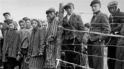 The Holocaust Bbc News