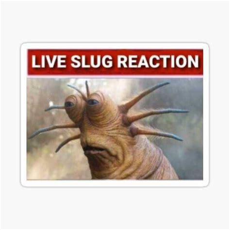 Live Slug Reaction Meme Phenomenon Live Slug Reaction Meme For Famous With Gastropod Land Slug