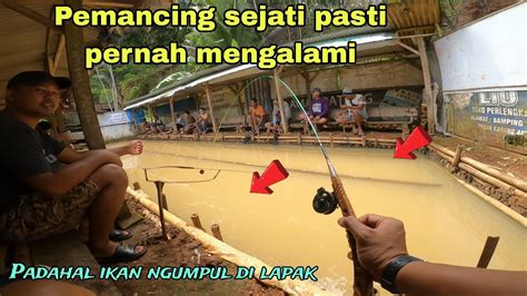 Kontes Umpan Mancing Nilem Siapa Yang Hebat Pasti Dapat Youtube