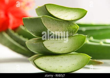 Las Hojas Frescas De Aloe Vera Con Rodajas Sobre Fondo Blanco La