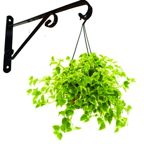 Suporte Para Planta Parede - Suporte Rústico de ferro para pendurar vasos de plantas na parede mão ...