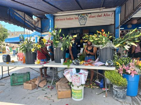 La Jornada Maya Quintana Roo Miguel Améndola El Día De La Madre Fue Un Respiro Para