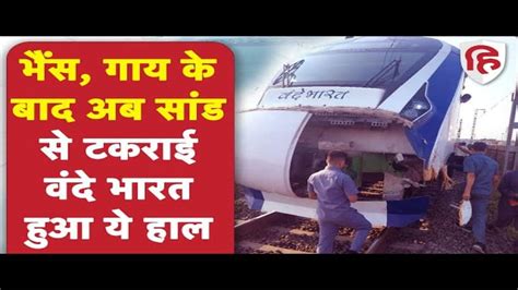 Vande Bharat Express Train Rams Into Cattle Near Atul Station In