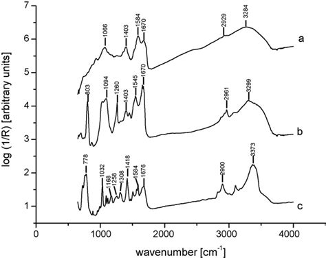 Ftir Spectra Of A Polypyrrole Microcapsules B Laccase And C Download Scientific Diagram