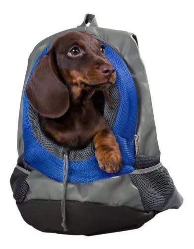 Mochila Bolsa Transportadora Viaje Para Perro Chico Envío gratis