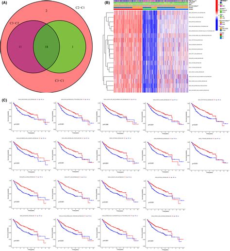 Intersecting Differential Metabolic Pathways Among The Three Subtypes