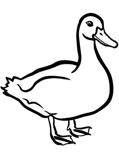 Coloriage Un Canard Normal télécharger et imprimer gratuit sur