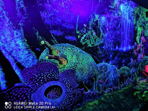 【馬來西亞檳城景點】大黑殿3d熒光博物館│dark Mansion 3d Glow In The Dark Museum│黑暗中體驗立體夢幻魅