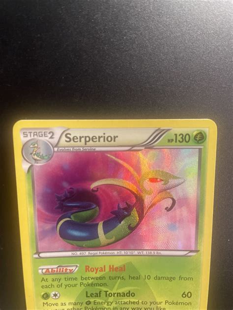 Pok Mon Tcg Serperior Dragons Exalted Secret Rare Near Mint Ebay