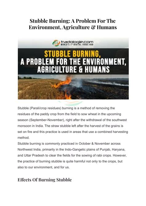 Ppt Stubble Burning A Problem For The Environment Agriculture