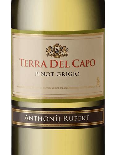 Terra Del Capo Pinot Grigio Vivino Us