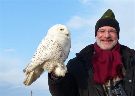 Snowy Owl Boom: Population of Arctic Birds Soars | The Allegheny Front