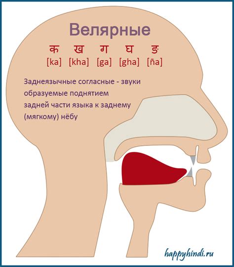 Заднеязычные согласные в хинди. Буквы क, ख, ग, घ, ङ