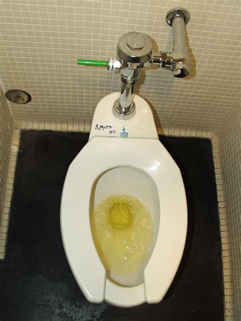 Fileurine In A Toilet At The Denver Museum Of Contemporary Art