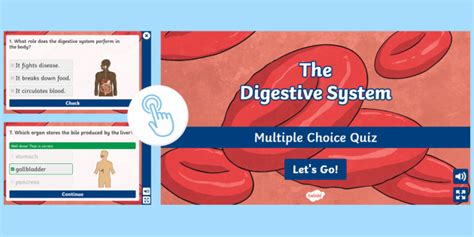 The Digestive System Multiple Choice Quiz Twinkl