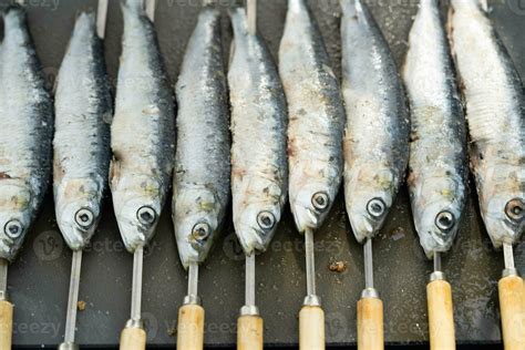 Charcoal Grilled Fish And Other Seafood 24954239 Stock Photo At Vecteezy