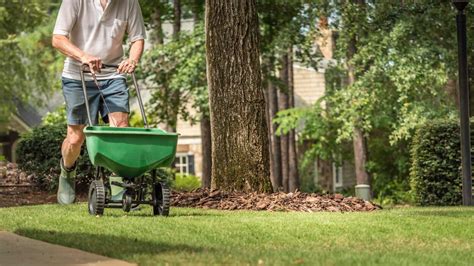 Here’s The Best Time To Seed Your Lawn Each Year Lifehacker