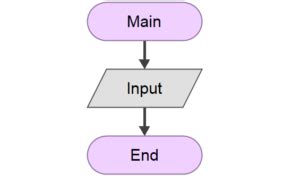 Flowgorithm Input Statement Testingdocs