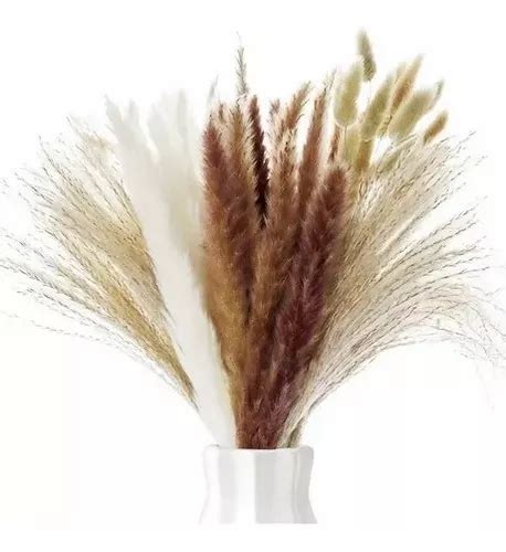 Pampas Secas Pcs Flores Artificiales Plantas Decorativas Meses Sin