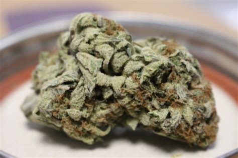 Runtz Weed Strain Review