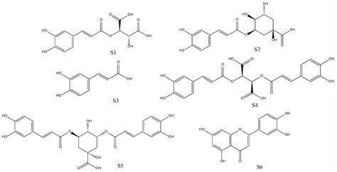 Molecules Free Full Text Comparison Of Bioactive Phenolic Compounds