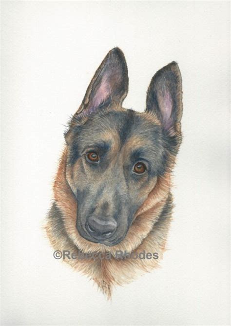 New Pet Portrait! German Shepherd in Watercolor