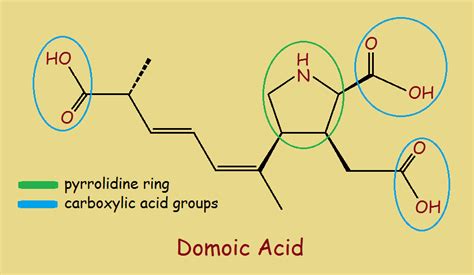 Domoic Acid Effect On Humans Historical Timeline Of Domoic Acid