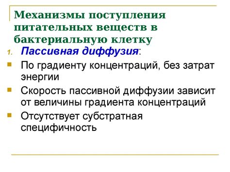 Физиология бактерий. Химический состав бактериальной клетки - online ...