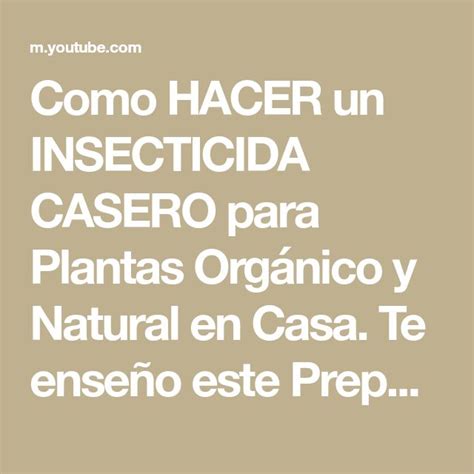 Como Hacer Un Insecticida Casero Para Plantas Org Nico Y Natural En