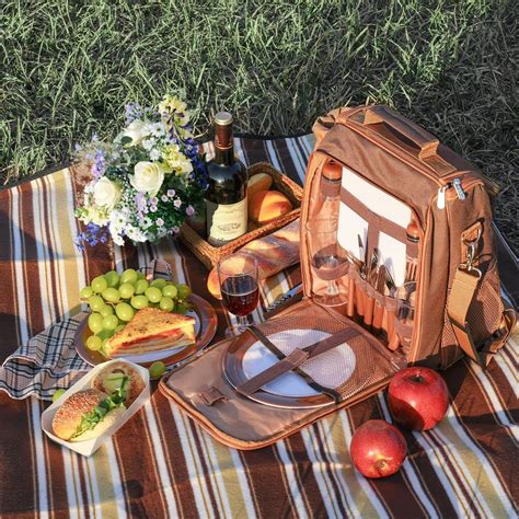 Buy Flexzion Picnic Basket Bag Brown Shoulder Insulated Picnic Bag