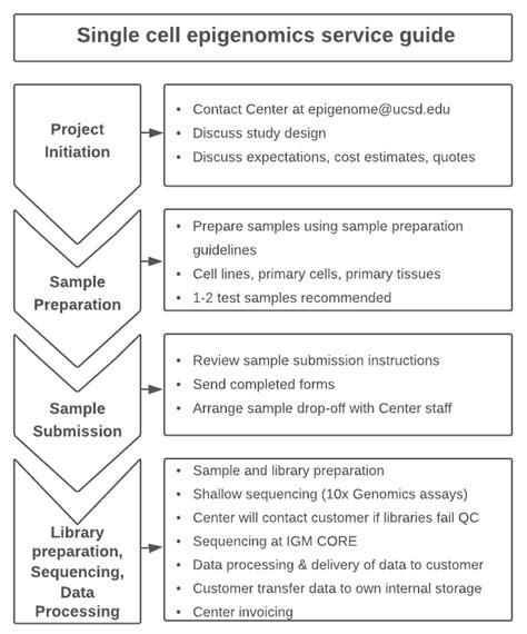 Single Cell Epigenomics Services