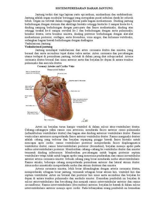 PDF Sistem Peredaran Darah Jantung DOKUMEN TIPS